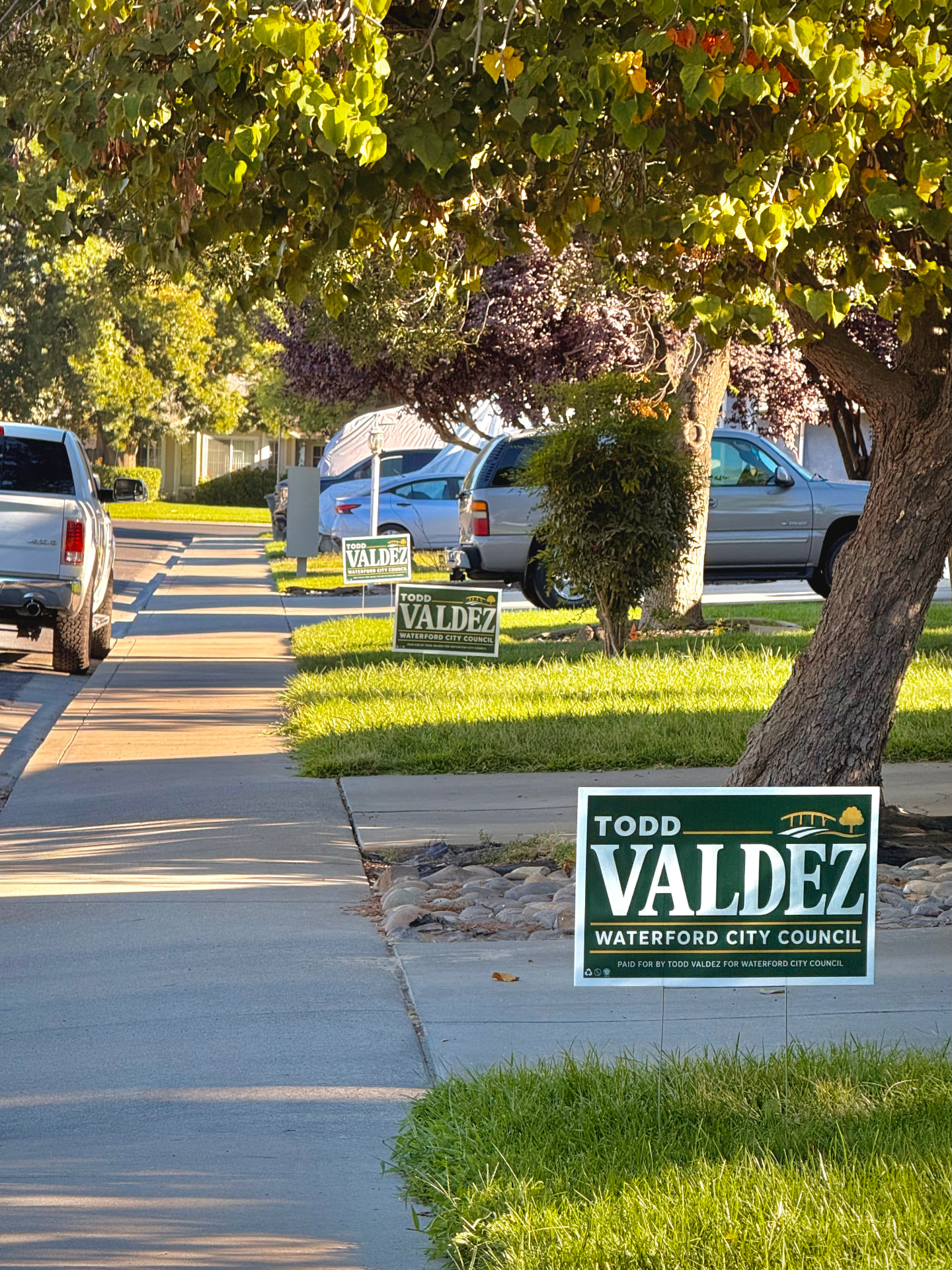 Todd Valdez yard signs along a Waterford residential street